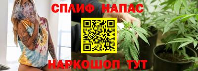PSILOCYBIN Моздок