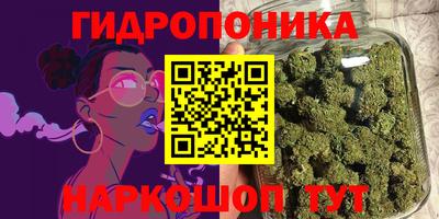 PSILOCYBIN Моздок