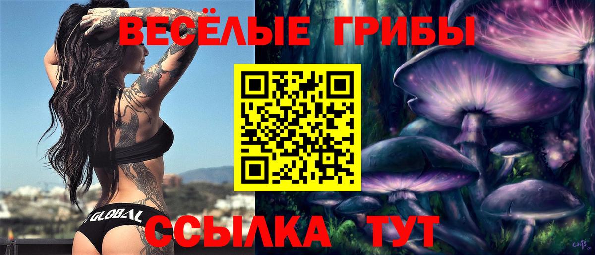 Владивосток  Псилоцибиновые грибы прущие грибы  где найти наркотики  Вход с VPN 