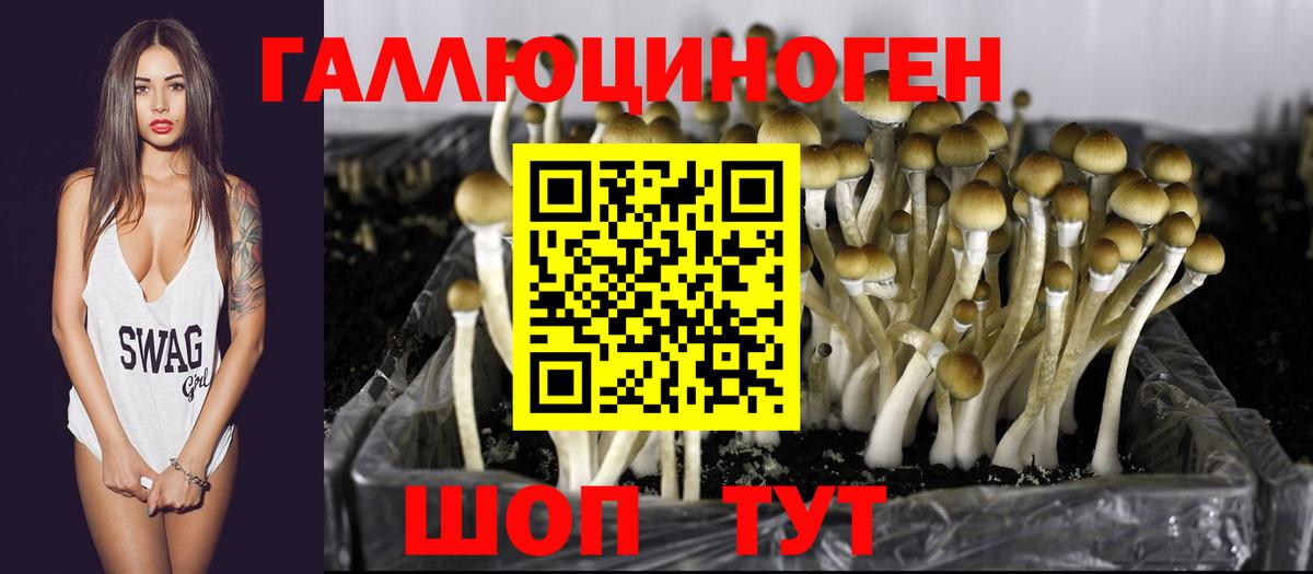 Псилоцибиновые грибы ЛСД Владивосток
